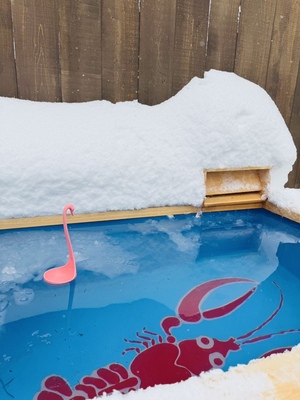 貸切サウナ DEW (2.5時間) 定員8名