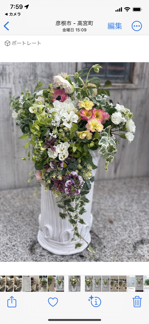 1月☆1dayレッスン・プリムラ＆アネモネ春先取りギャザリング