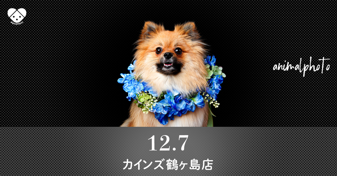 埼玉県【カインズ鶴ヶ島店】2025年12月7日（日）