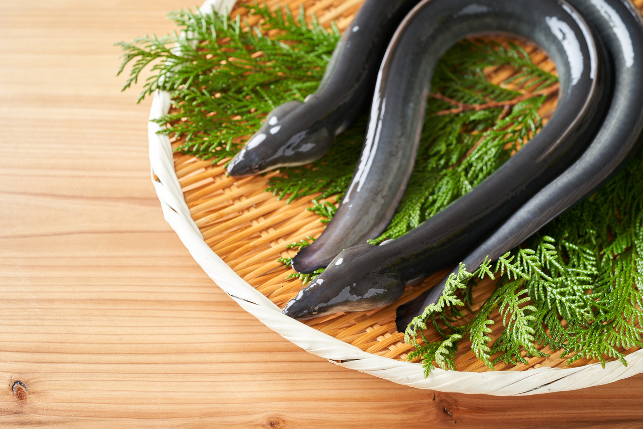 【文化講座】7/12原和人先生の俳句教室