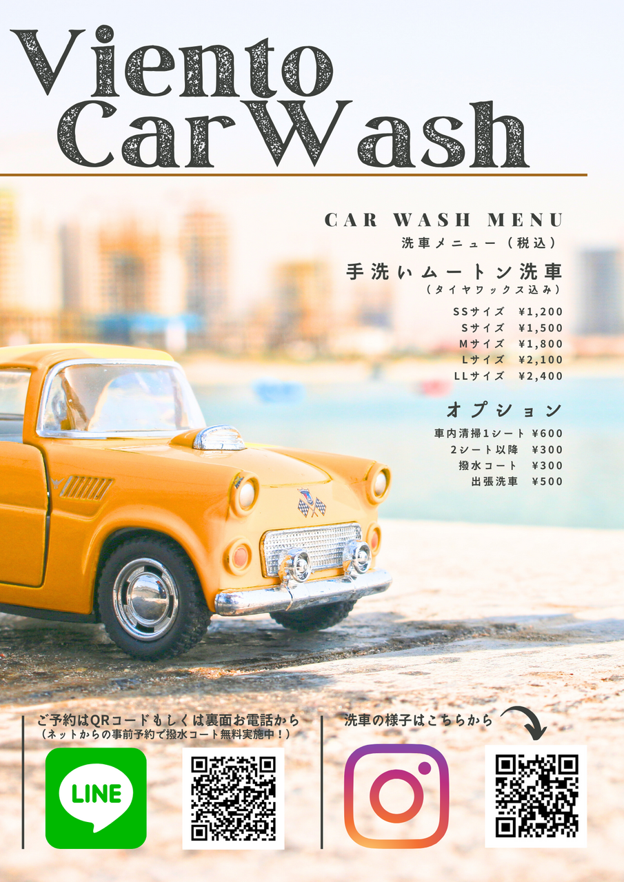 手洗いムートン洗車