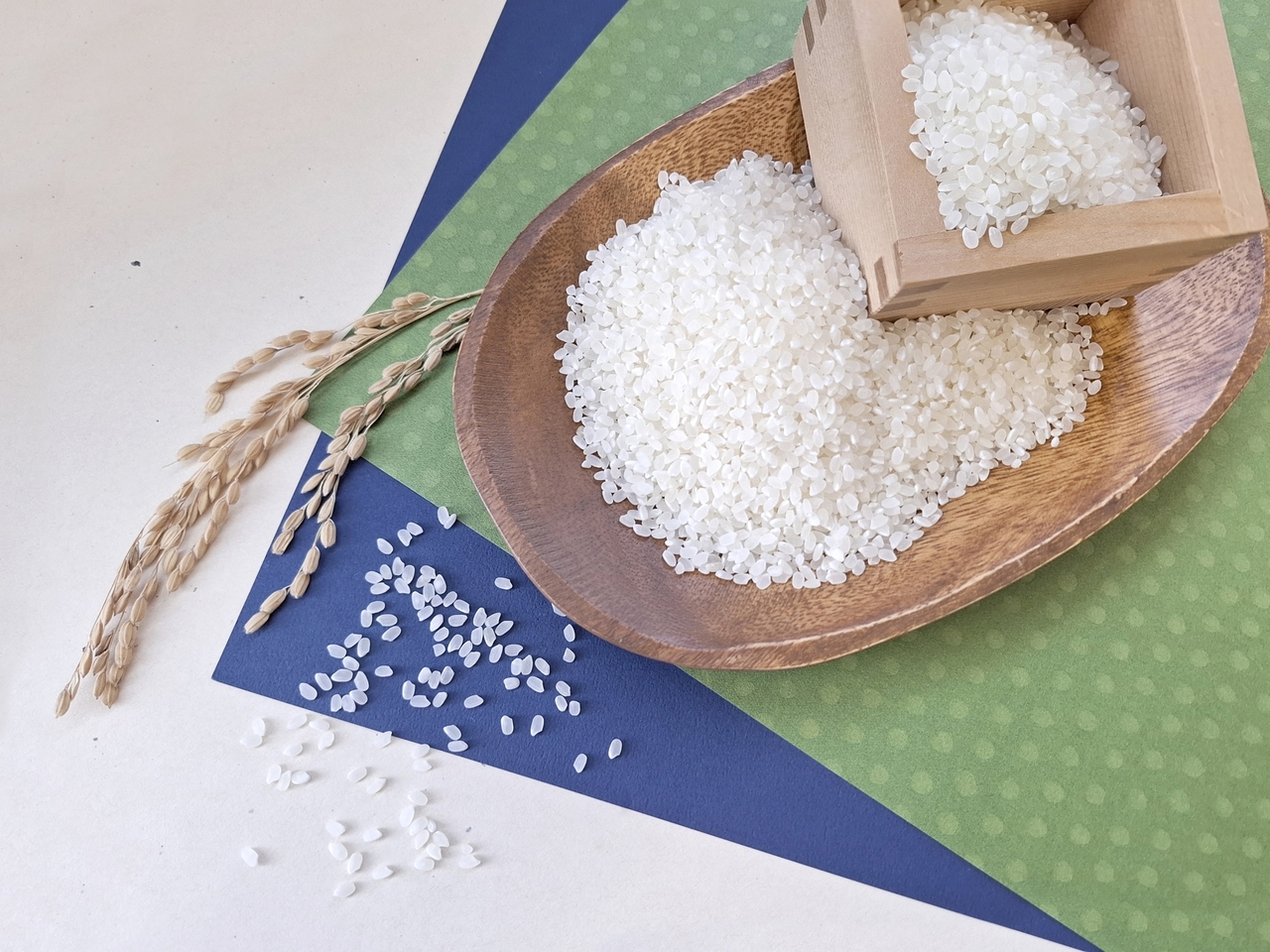 【世田谷】食べ物抽選会｜2025年7月5日(土)