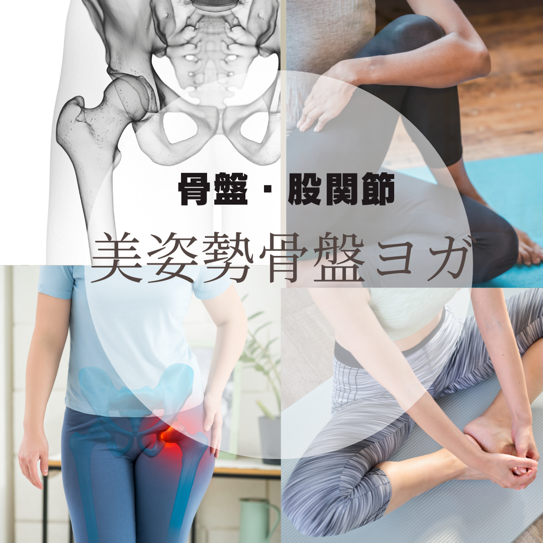 美姿勢骨盤ヨガ