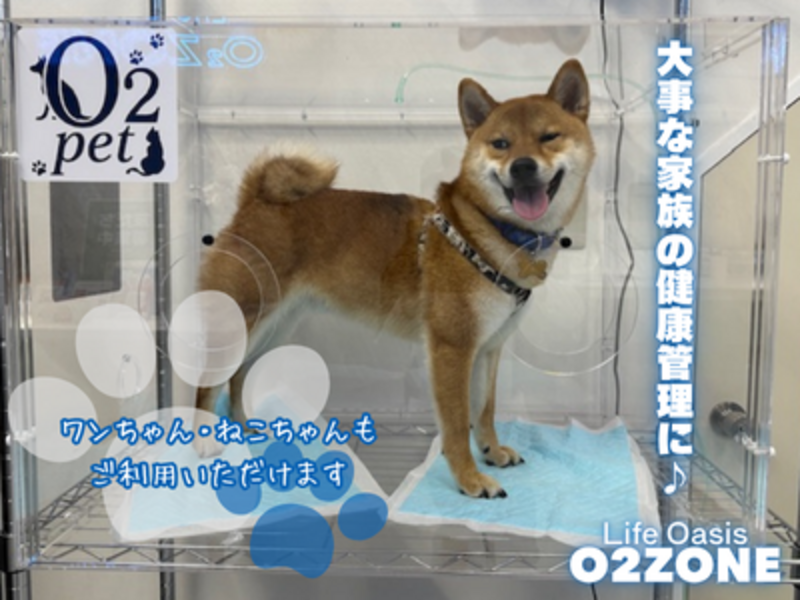 ペット向け酸素ルームサービス【O2ペット】