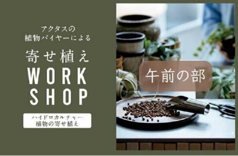 ＼ ワークショップ ①午前の部 ／ アクタスの植物バイヤー曽我氏による、ハイドロカルチャー寄せ植え