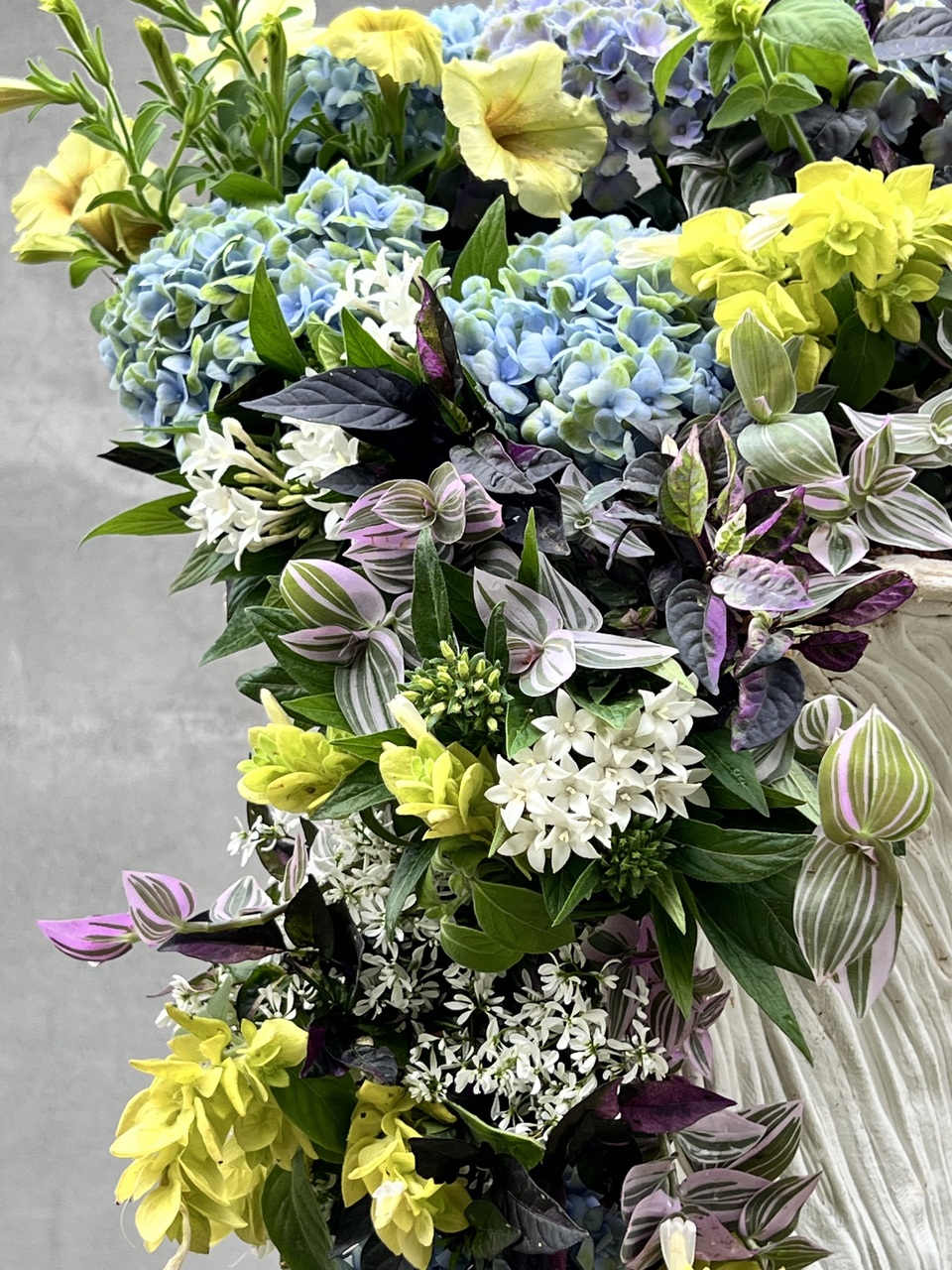 ステップアップクラス