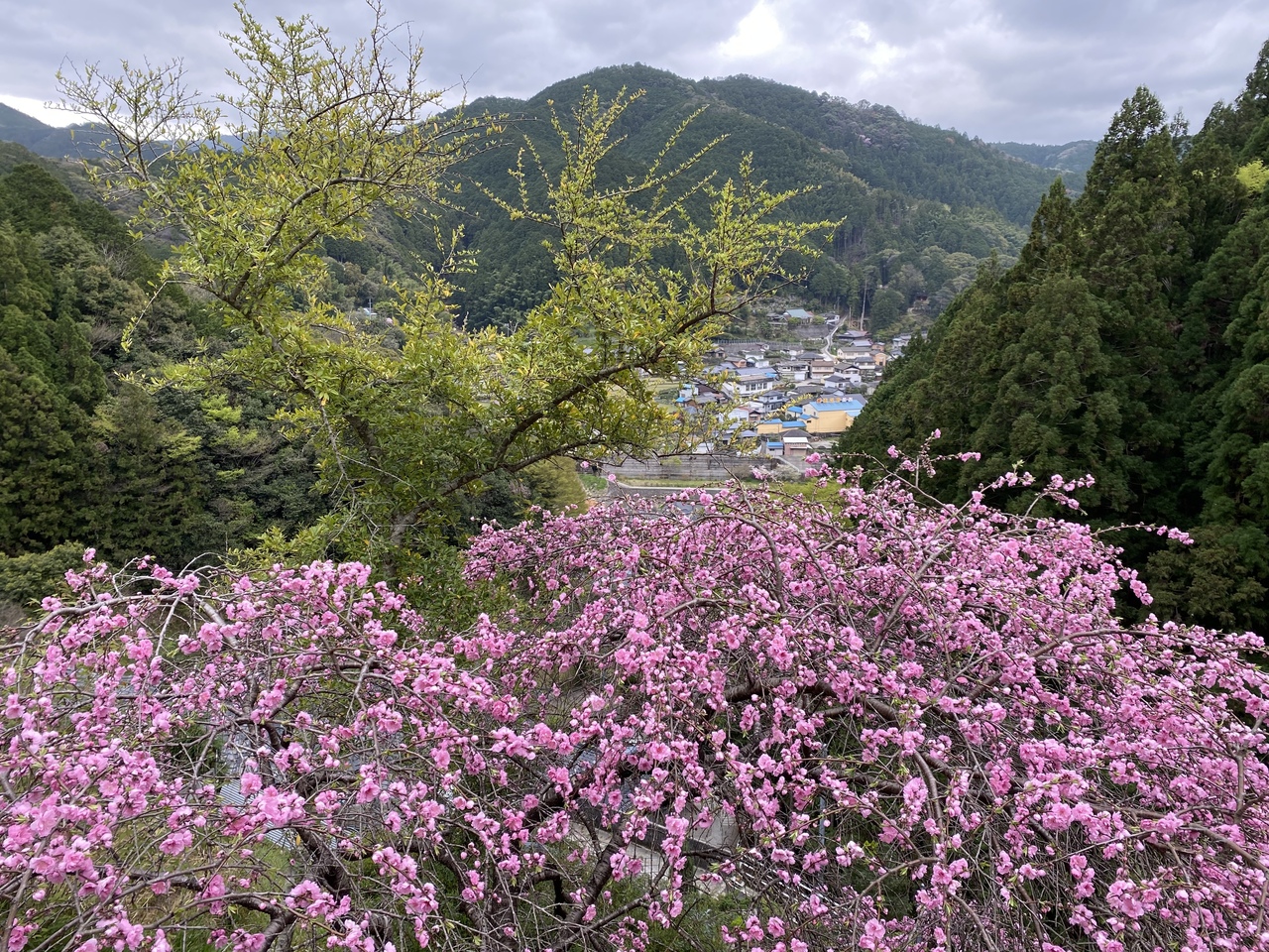 カラダノート不動産ご来店予約