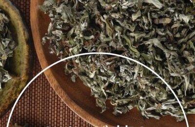 よもぎ蒸し６０分