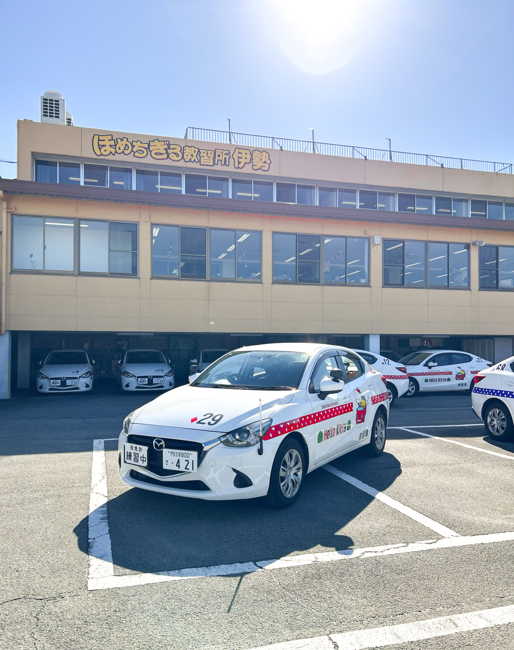 普通自動車(一般)