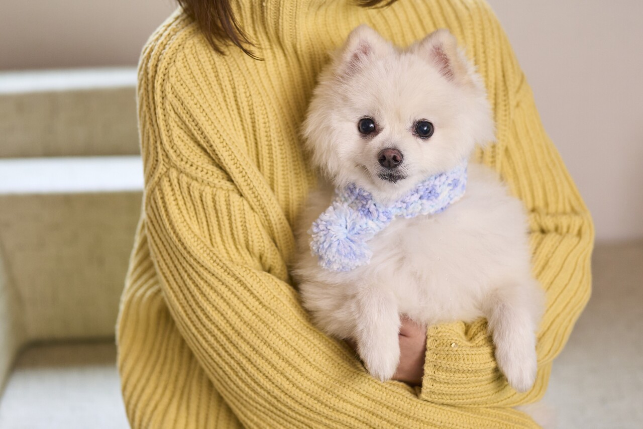 ＼with DOG／愛犬用マフラーづくり