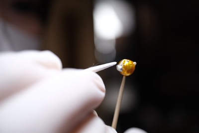 【ニュウマン高輪】AURA 漆塗りパールアクセサリーのワークショップ