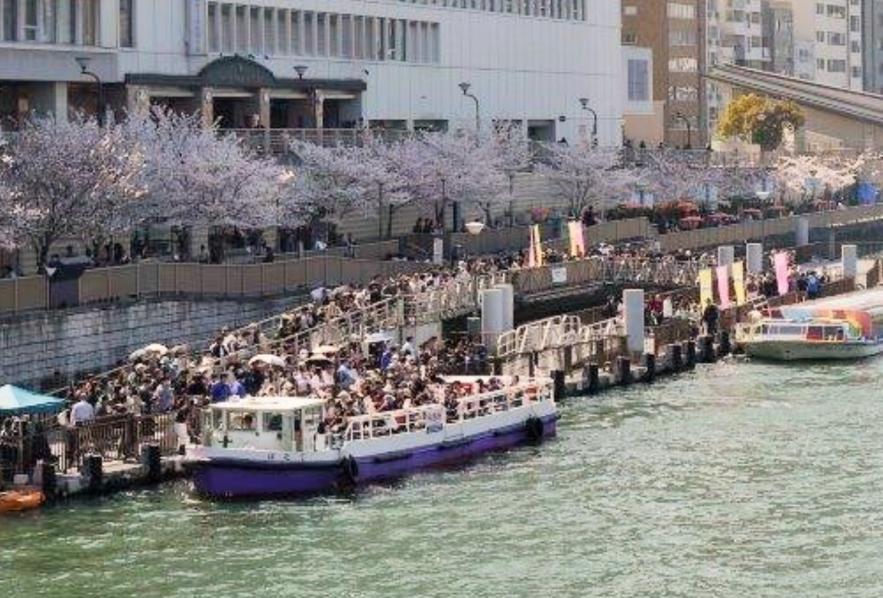 🌸 桜クルーズ　大型船貸切　早期予約特典！ラウンジソファー席の船を確約   ＋ ウェルカムスパークリングワイン付き🌸