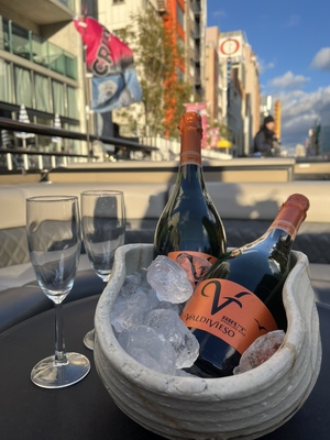 🌸 桜クルーズ　大型船貸切　早期予約特典！ラウンジソファー席の船を確約   ＋ ウェルカムスパークリングワイン付き🌸