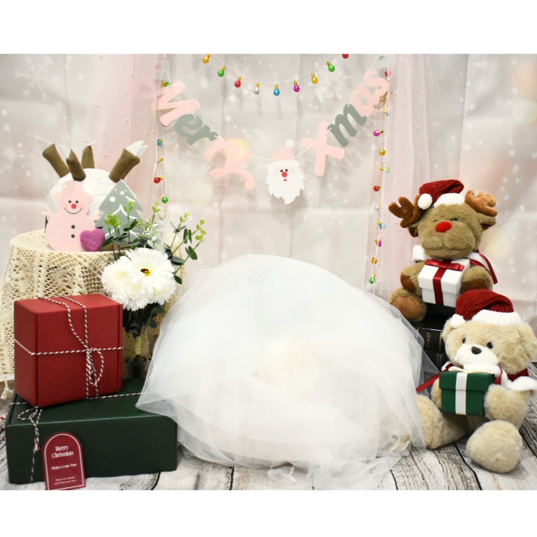 12/15〜12/25　クリスマス写真撮影会🧑‍🎄🎁