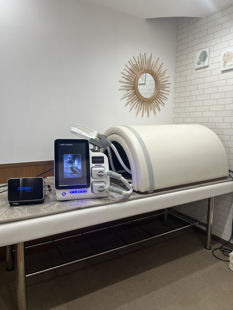 テスラシェイプ®