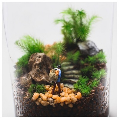 【宮崎】基礎編 インテリアに映える苔テラリウムワークショップ【サンパーク都城店】