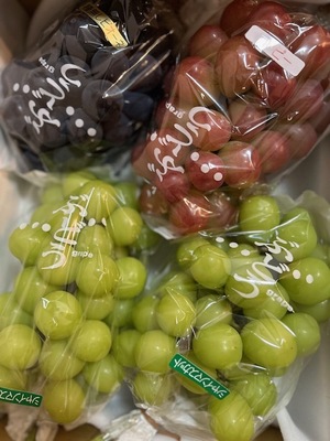 🍇シャインマスカットと玉ねぎ醤の発酵PARTY　〜ぶどう食べ比べ＆発酵ランチで味わう秋〜