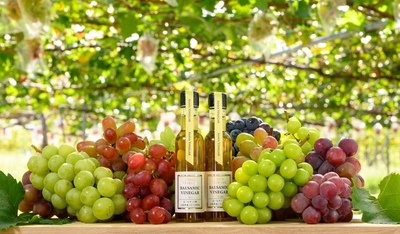 🍇シャインマスカットと玉ねぎ醤の発酵PARTY　〜ぶどう食べ比べ＆発酵ランチで味わう秋〜