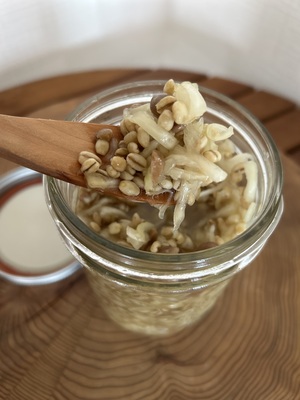 🍇シャインマスカットと玉ねぎ醤の発酵PARTY　〜ぶどう食べ比べ＆発酵ランチで味わう秋〜