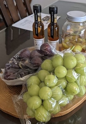 🍇シャインマスカットと玉ねぎ醤の発酵PARTY　〜ぶどう食べ比べ＆発酵ランチで味わう秋〜