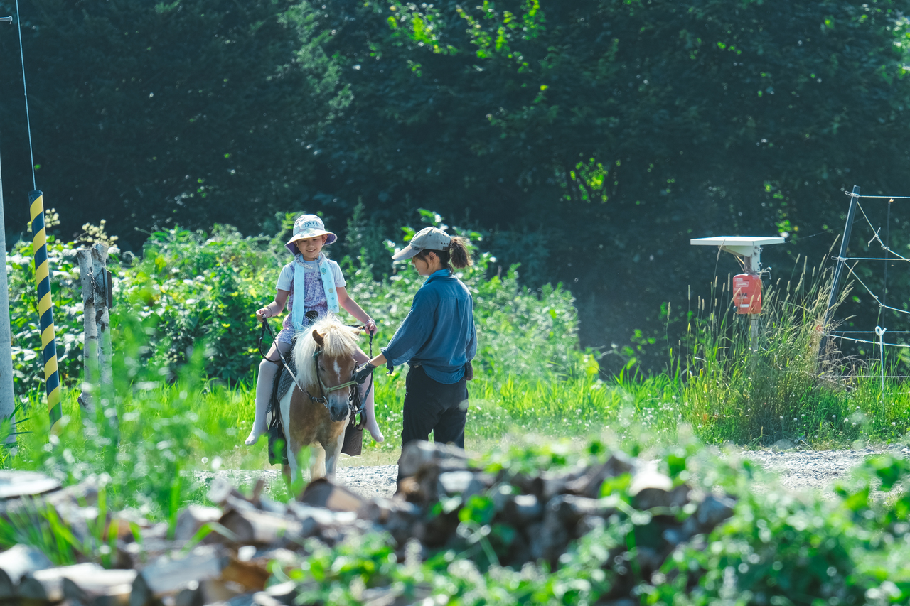 西埜さんと馬搬体験_北海道(厚真)プログラム_ポケマルおやこ地方留学2025夏