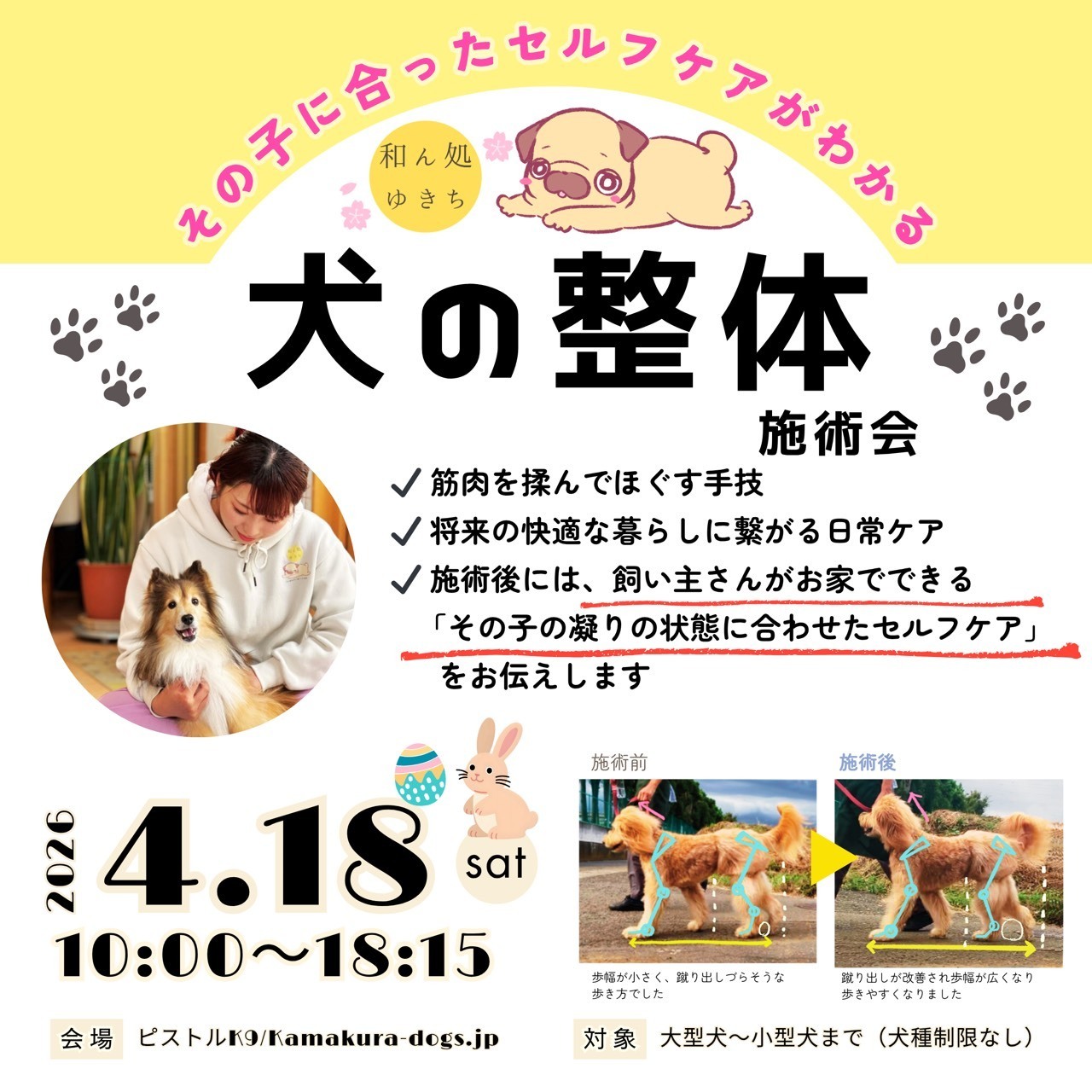 和ん処　ゆきち　犬の整体施術会　in ピストルK９/kamakura-dogs.jp