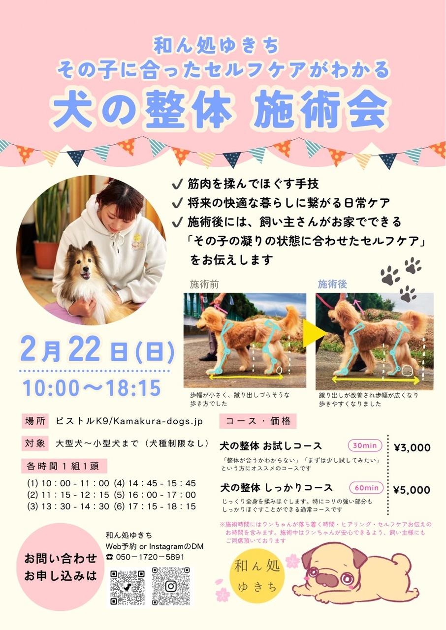 和ん処　ゆきち　犬の整体施術会　in ピストルK９/kamakura-dogs.jp