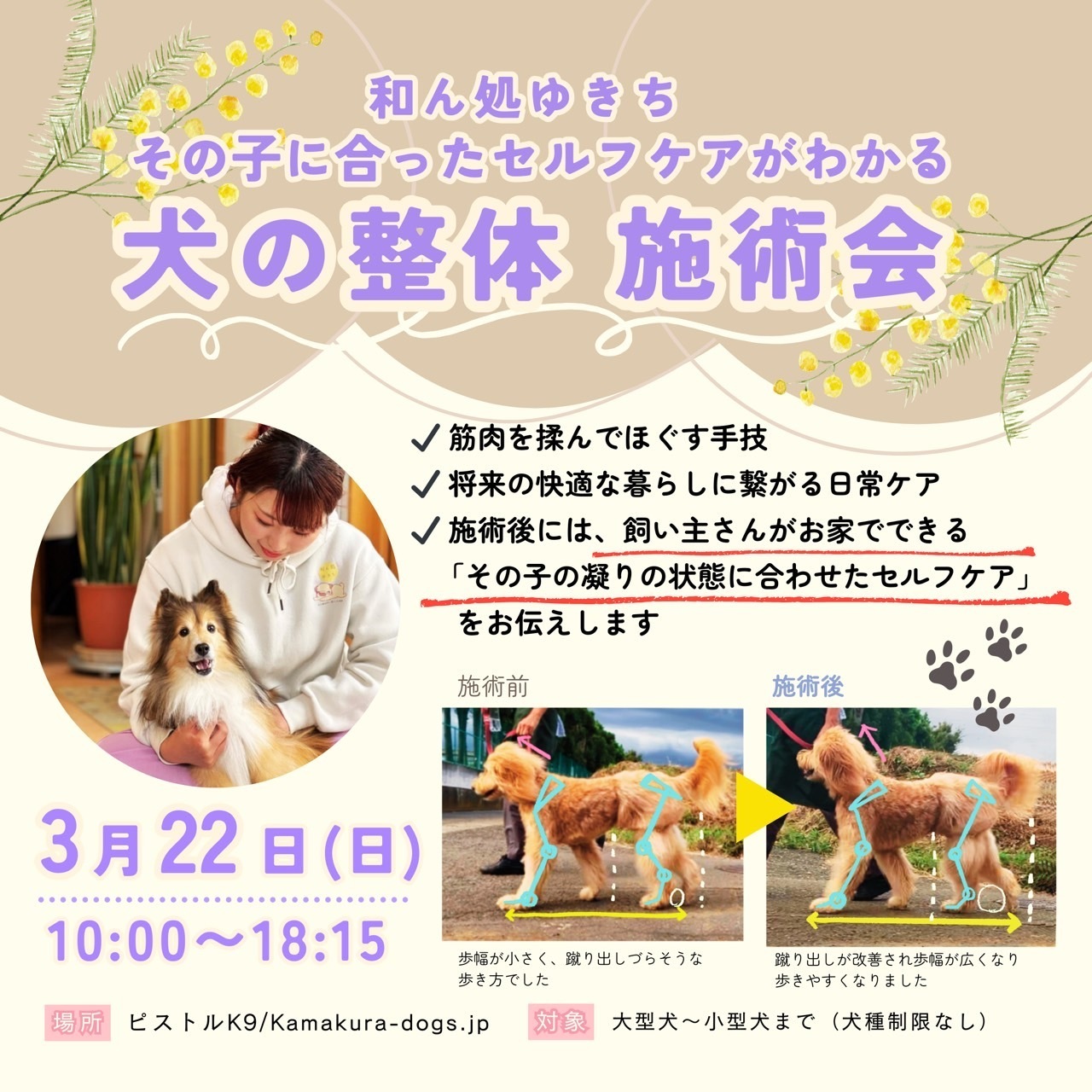 和ん処　ゆきち　犬の整体施術会　in ピストルK９/kamakura-dogs.jp