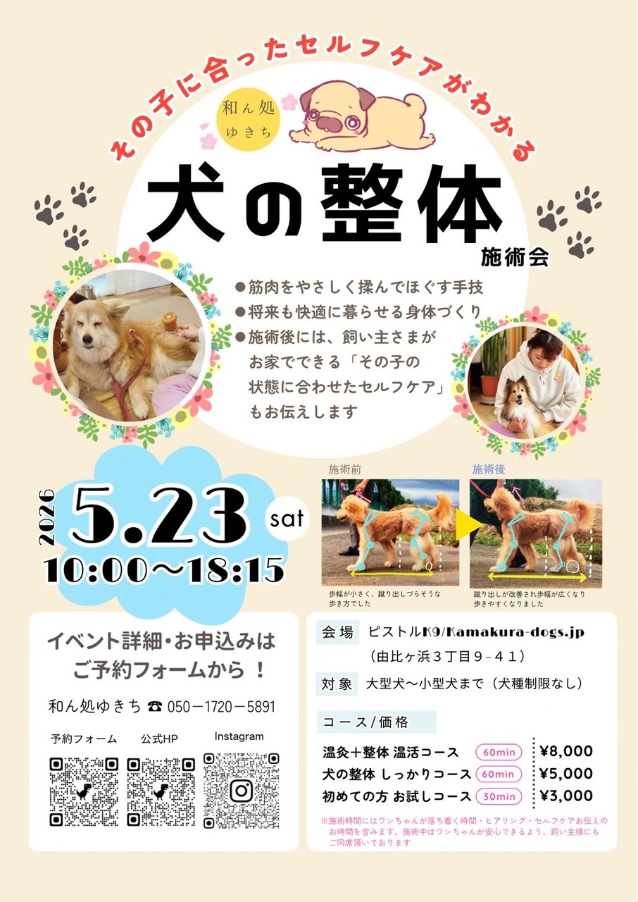 和ん処　ゆきち　犬の整体施術会　in ピストルK９/kamakura-dogs.jp