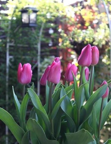 新サービスのお試し説明会（会員向）