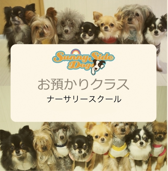 お預かりクラス (ナーサリースクール)