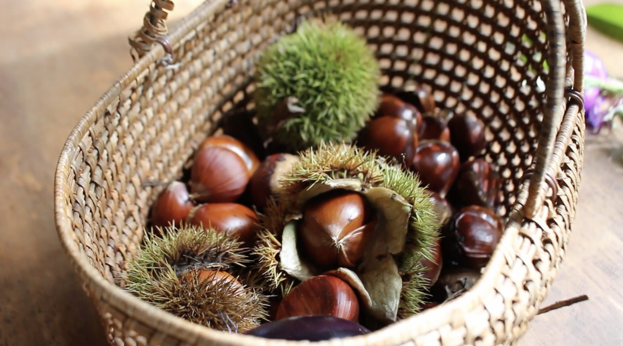 新米と秋のみのりをいただく10/22~25