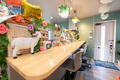 大型犬ブースふれあい予約　【中学校１年生より入場可能】