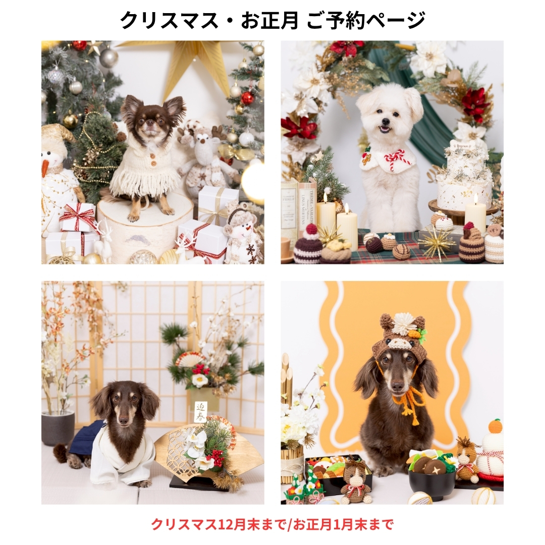 【季節限定】ホリデープラン(11月〜1月)