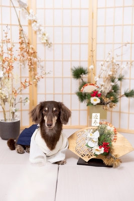 【季節限定】ホリデープラン(11月〜1月)