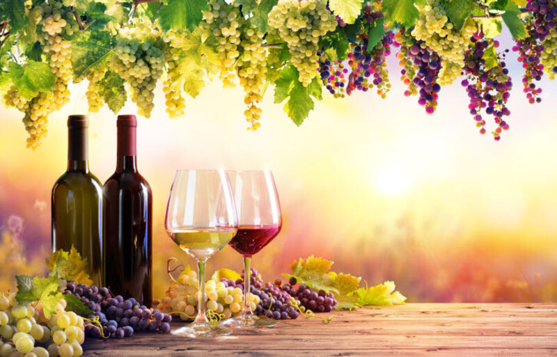 10/11（土）ワインマリアージュイベント＠インド料理ムンバイ四谷店2F