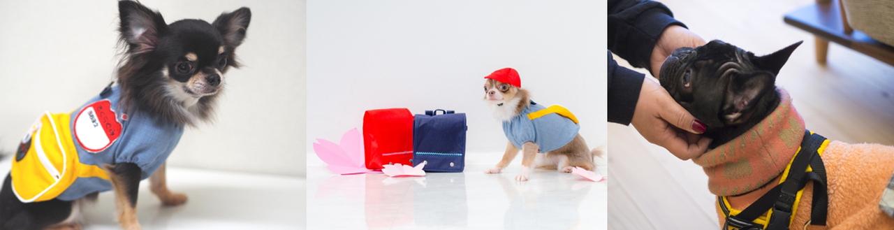 【トレーニング】　預かりトレーニング