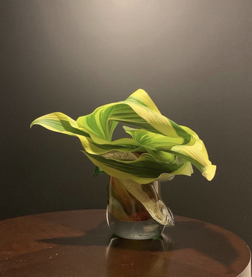 【枝と葉の専科CLASS】枝と葉の美しい表現方法を学ぶ特別なレッスン