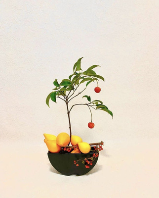 【枝と葉の専科CLASS】枝と葉の美しい表現方法を学ぶ特別なレッスン