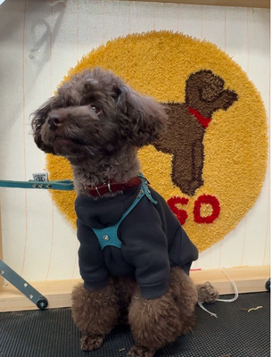 タフティング 体験教室