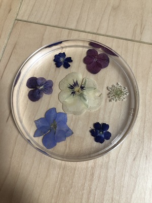 クリアリウムシリコン基礎技術認定講座