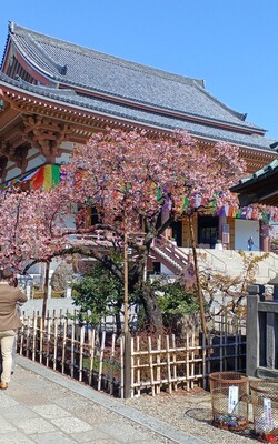 Samurai Sword fighting workshop