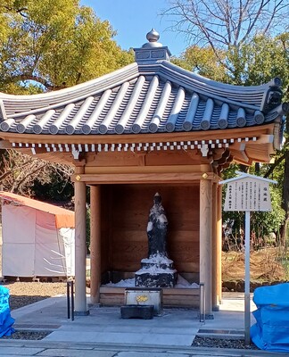 Samurai Sword fighting workshop