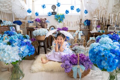 『紫陽花』撮影会☆柏市おうちスタジオ