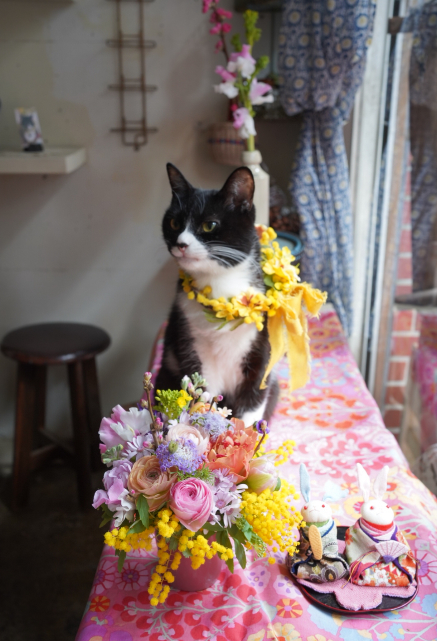 2月＊Special class**【アレンジメント】『桃&ミモザ入り♪なんとも可愛い♪桃の節句アレンジ』