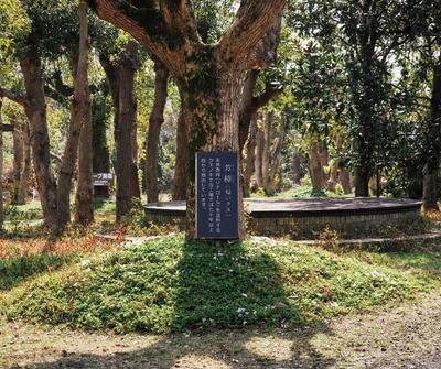 2月24日(火)　大人のためのハーブ入門レッスン