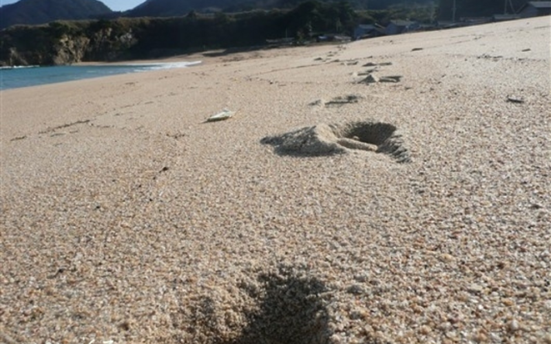 【京丹後】Space LIGHT-SHOWERの予約サイトへようこそ！