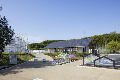 【農業体験】京都・京田辺クロスパーク　旬のお野菜5種類といちごの栽培＆収穫体験