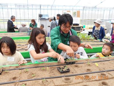 【農業体験】京都・京田辺クロスパーク　旬のお野菜5種類といちごの栽培＆収穫体験