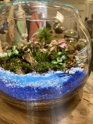 3種類の形のガラスケースから選べる苔テラリウムのワークショップ。